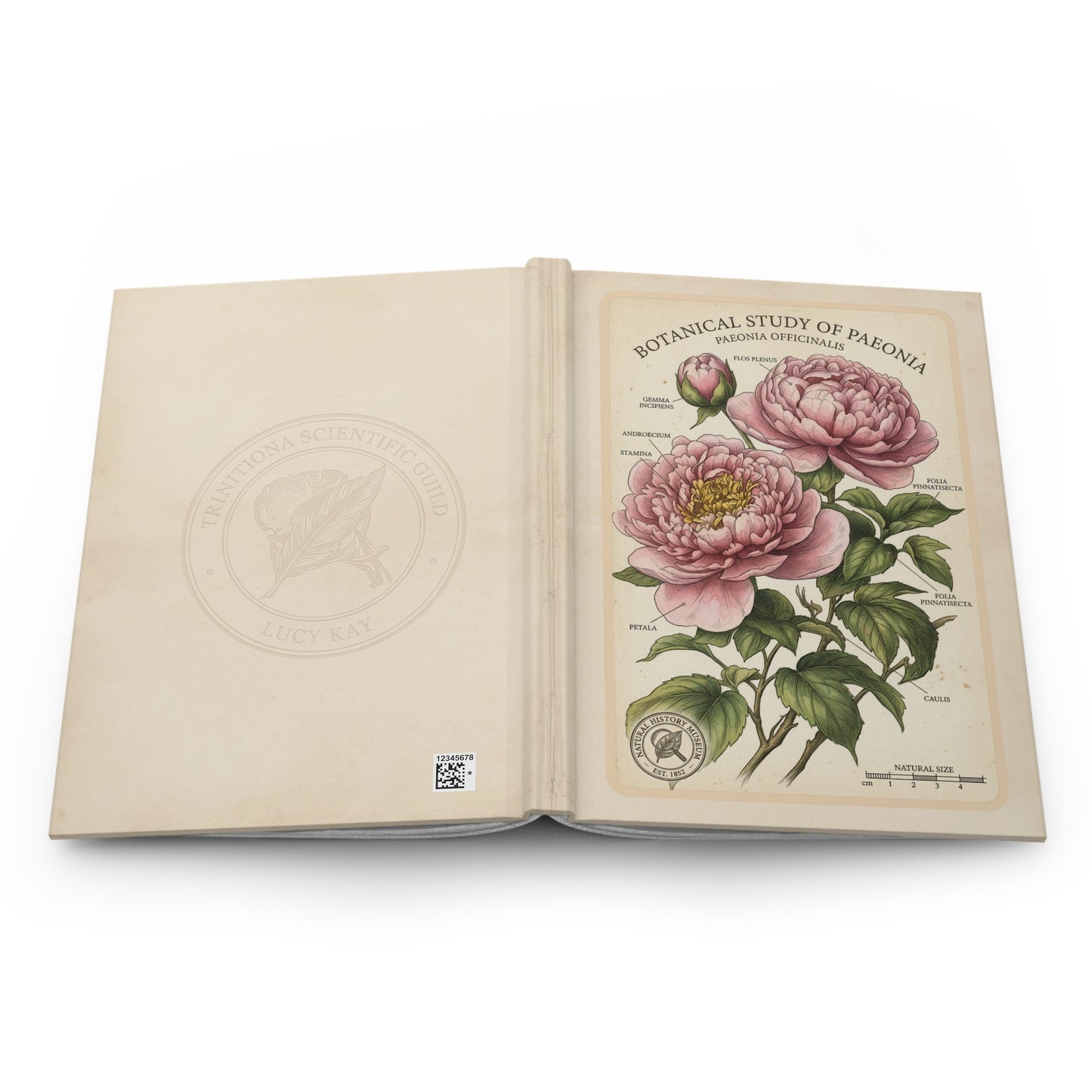 Floral Hardcover Journal – Vintage Botanical Notebook - LucyKay store