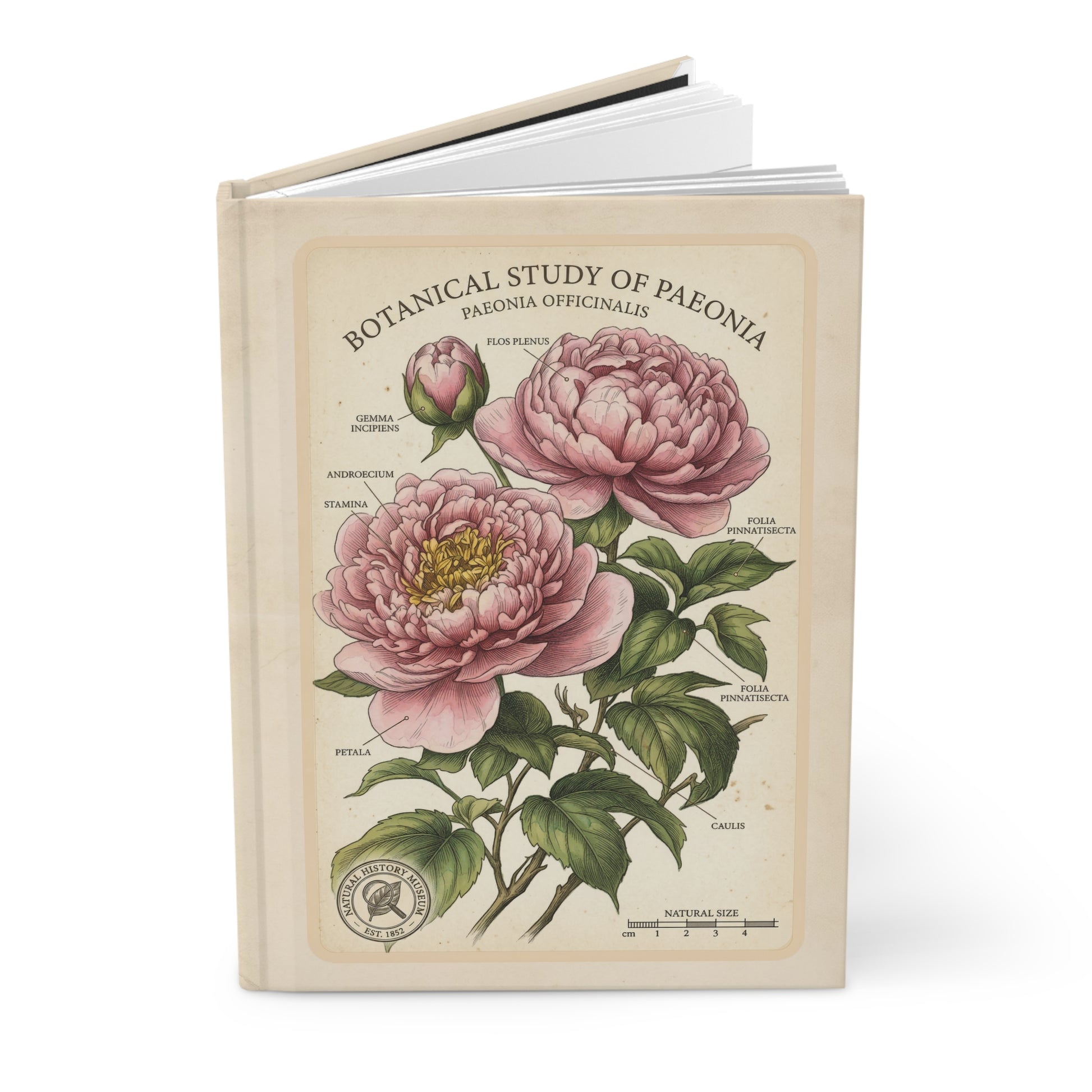 Floral Hardcover Journal – Vintage Botanical Notebook - LucyKay store