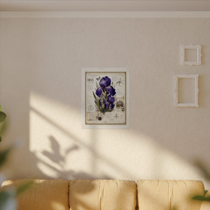 Purple Iris Botanical Illustration Poster | Vintage Floral Wall Art Print on Watercolor Paper