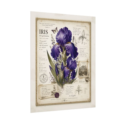 Purple Iris Botanical Illustration Poster | Vintage Floral Wall Art Print on Watercolor Paper