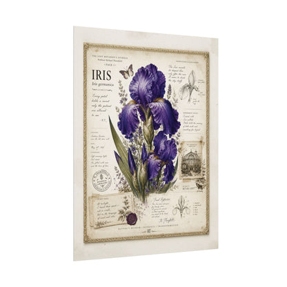 Purple Iris Botanical Illustration Poster | Vintage Floral Wall Art Print on Watercolor Paper