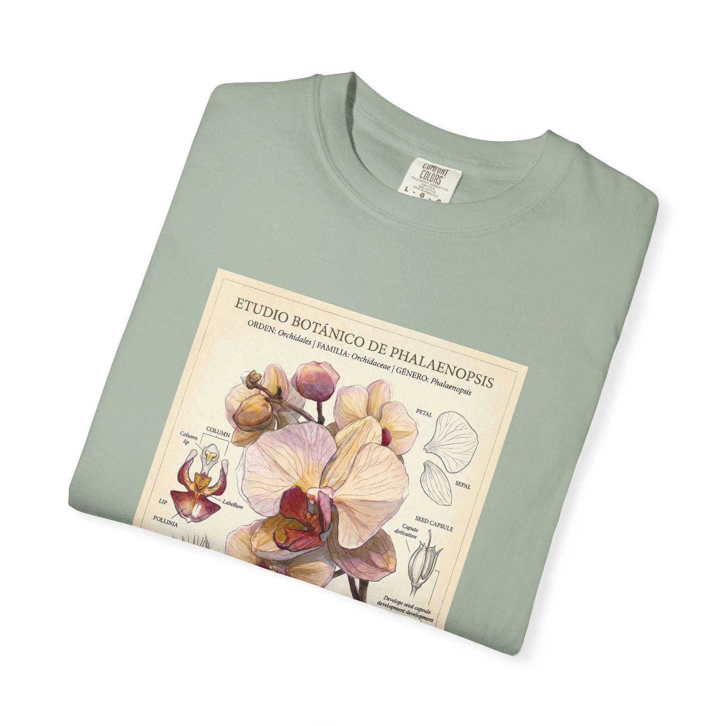 Vintage Botanical Orchid T-Shirt | Floral Graphic Tee - LucyKay store