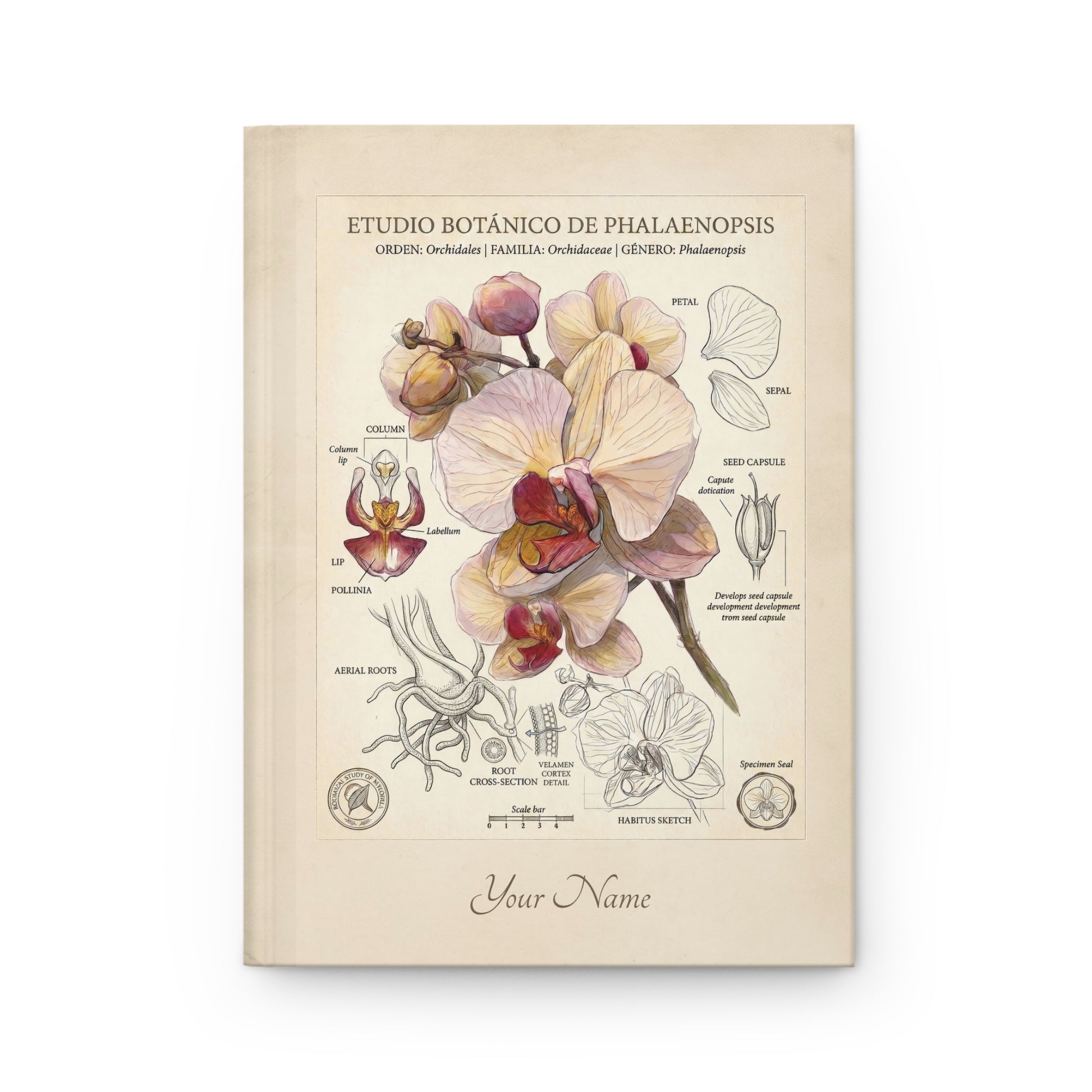 Personalized Botanical Orchid Hardcover Journal – Custom Name Floral Notebook - LucyKay store