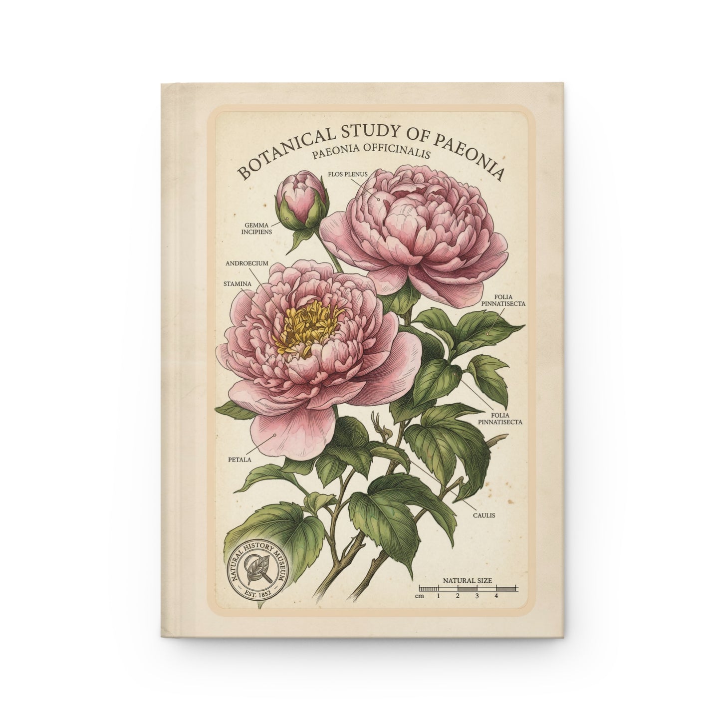 Floral Hardcover Journal – Vintage Botanical Notebook - LucyKay store