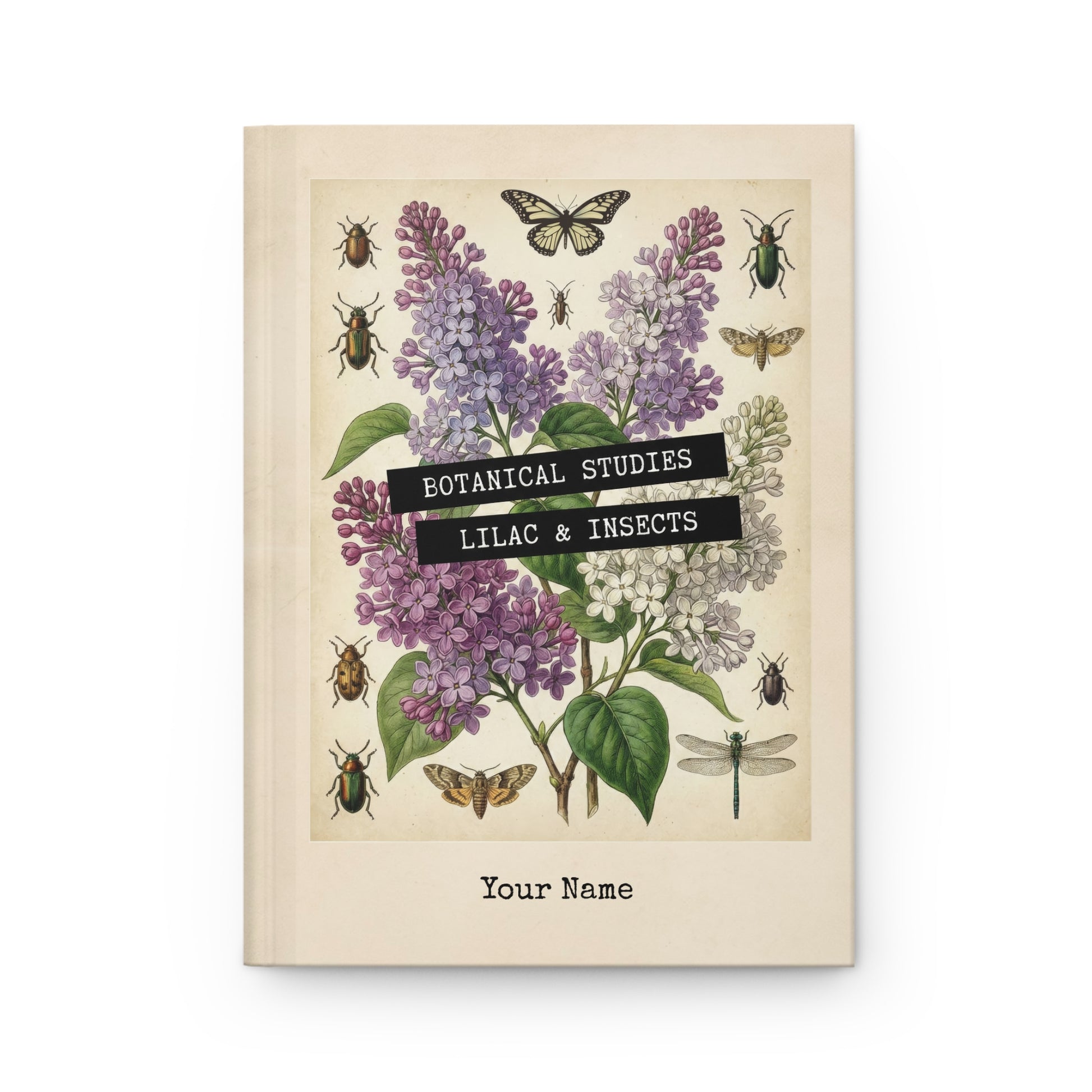 Book cover with botanical illustration of lilacs and insects on a beige background