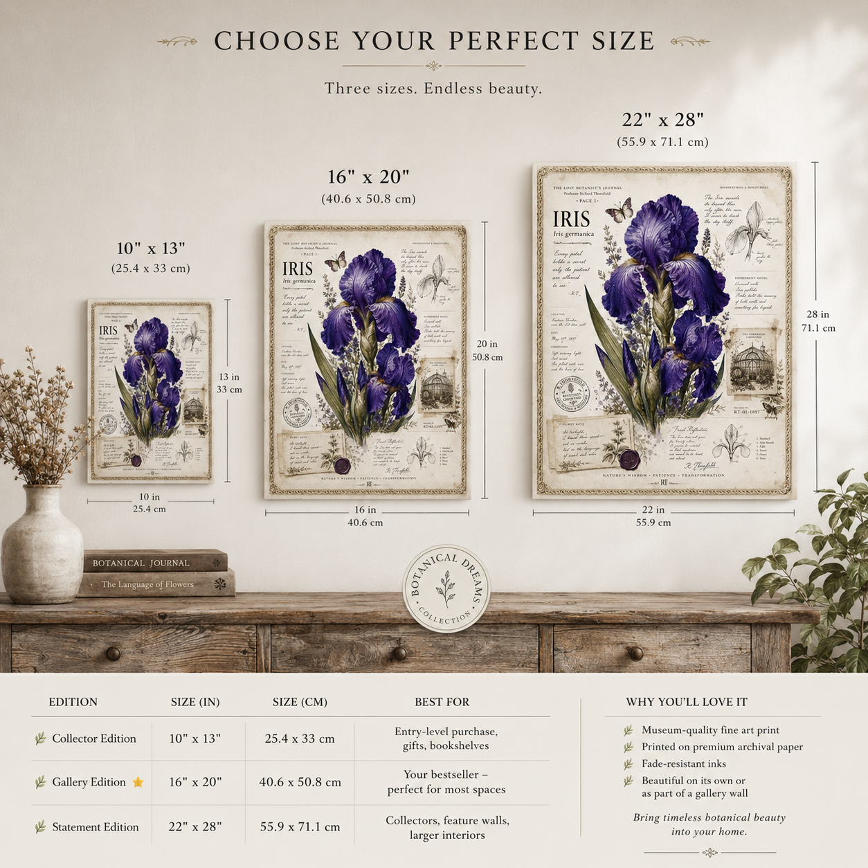 Purple Iris Botanical Illustration Poster | Vintage Floral Wall Art Print on Watercolor Paper
