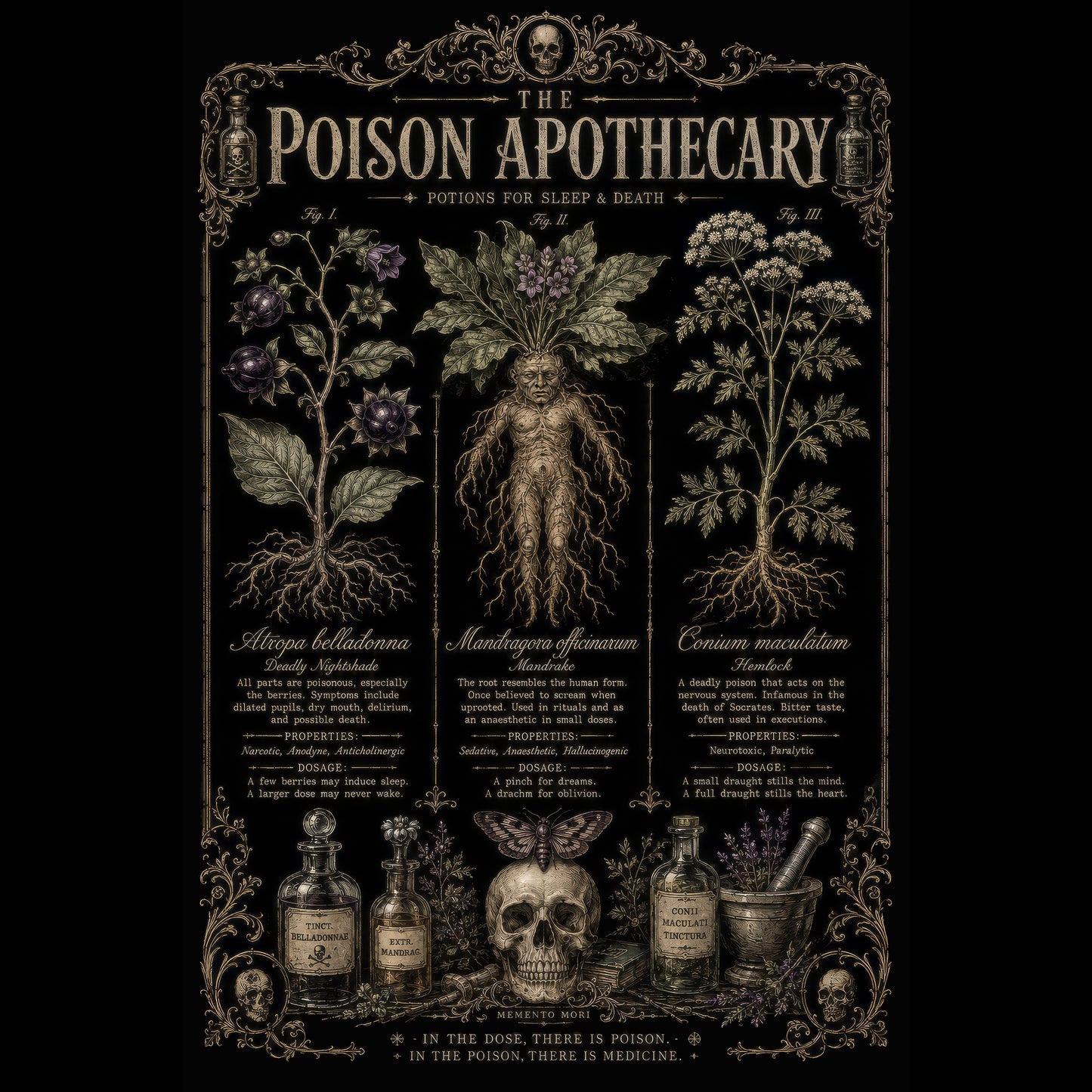 Vintage-style poster of 'The Poison Apothecary' with herbs, bottles, and a skull.