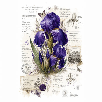 Purple Iris Botanical Boxy T-Shirt | Vintage Floral Graphic Tee | Cottagecore Flower Shirt